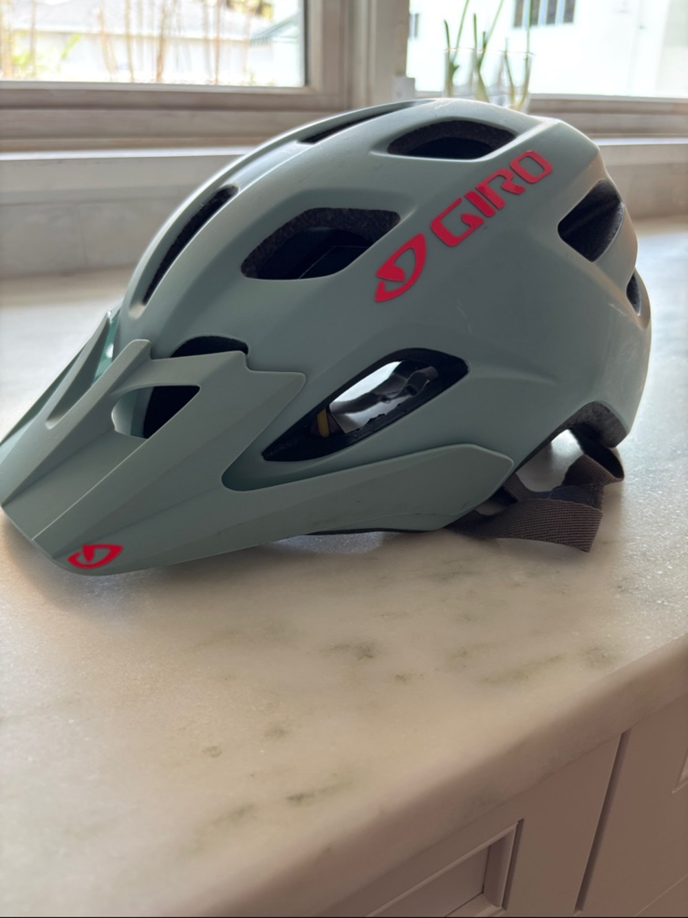 Giro Fixture Bike Helmet Mat Frost with MIPS, 54-61 cm